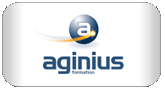 Logo Aginius